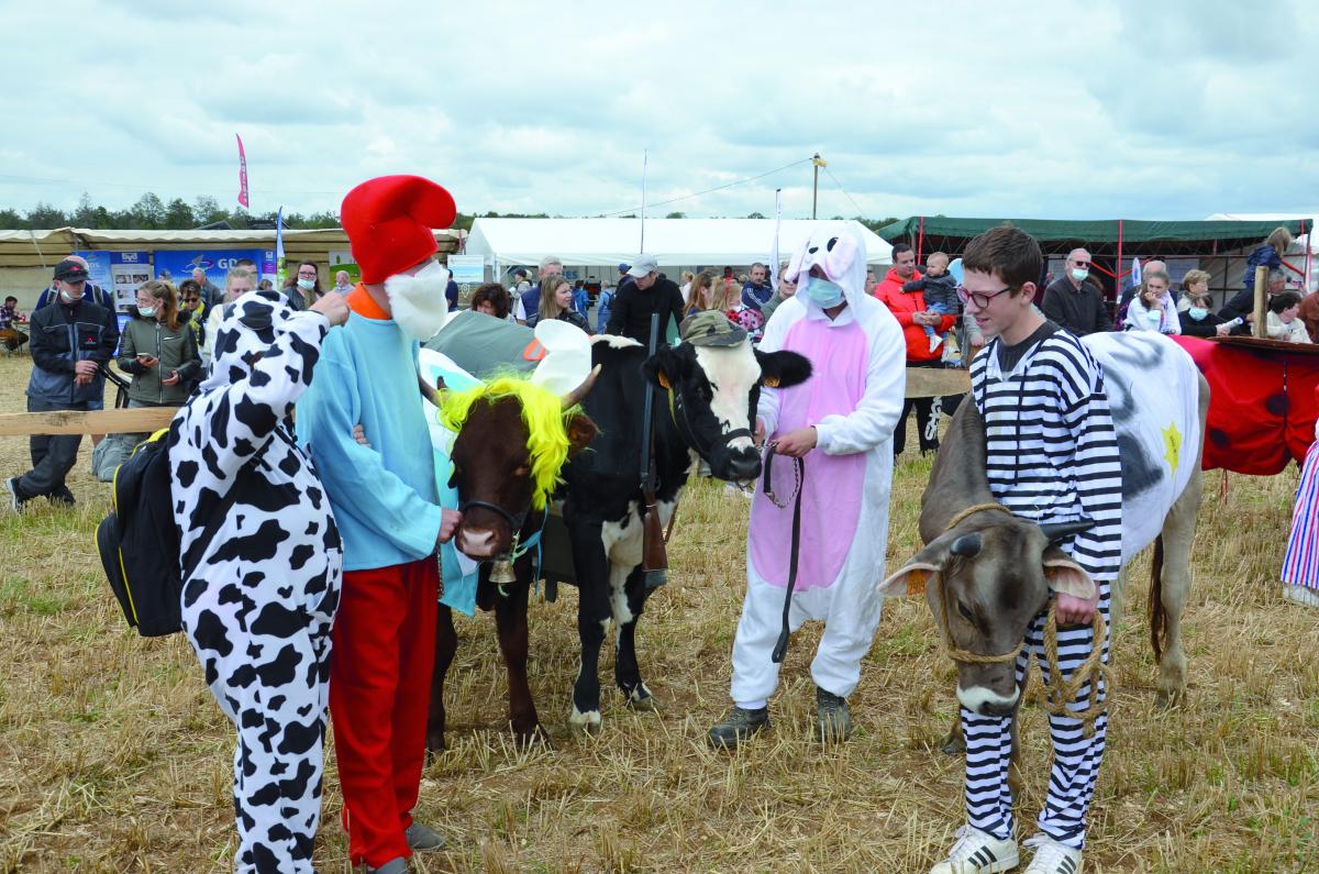 Le concours bovin déguisé. Photo : TM Le concours bovin déguisé. Photo : TM
