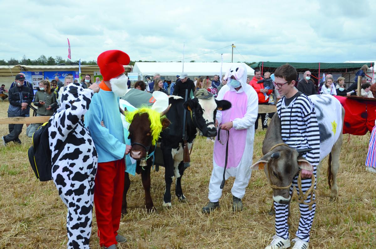 Le concours bovin déguisé. Photo : TM