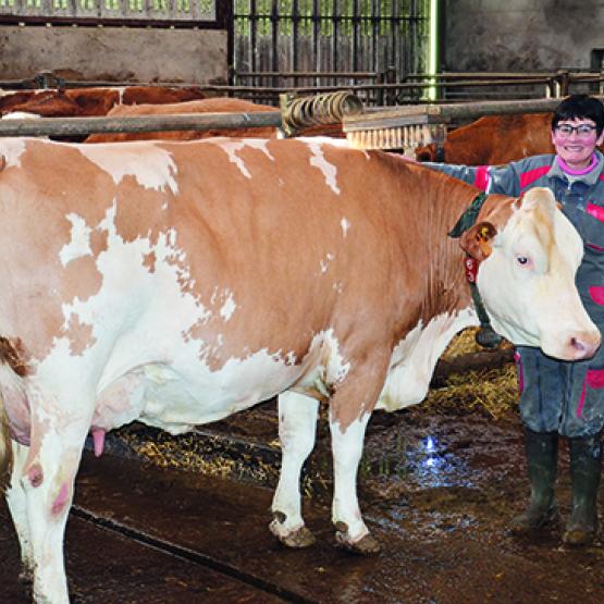 Patricia Bablon et sa vache Magicienne qui concourra en catégorie troisième lactation.