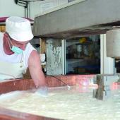 Sur le terrain coexistent de nombreuses manières de fabriquer et d’affiner le metton, ce fromage qui sert à élaborer la cancoillotte.