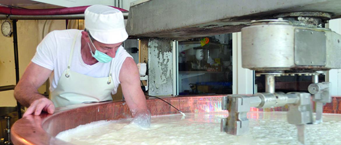Sur le terrain coexistent de nombreuses manières de fabriquer et d’affiner le metton, ce fromage qui sert à élaborer la cancoillotte.