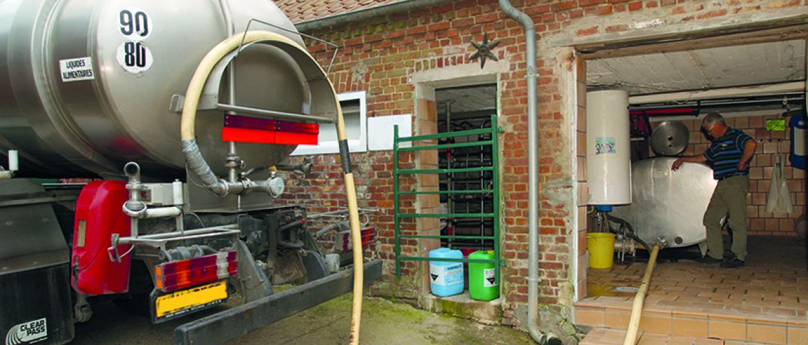 En élevage laitier, l’installation d’un pré-refroidisseur sur le tank à lait peut faire économiser 30 à 50 % d’énergie.