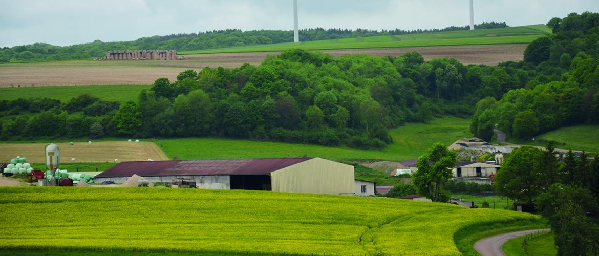 La Haute-Marne a perdu 381 exploitations, soit 16% de ses effectifs agricoles. Photo : DR