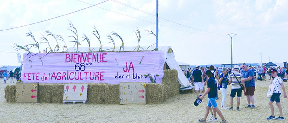 Il faut revenir à du bon sens, il en manque un peu en ce moment alors que se dessine une période de pénurie alimentaire et énergétique