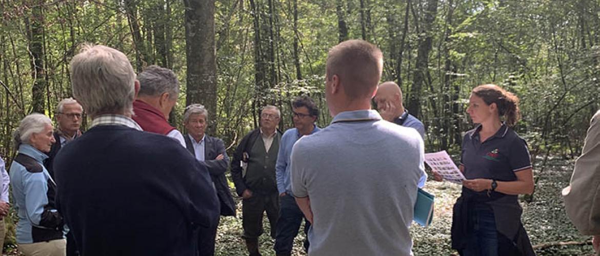 Les propriétaires ont observé tous les éléments qui constituent la biodiversité en forêt.