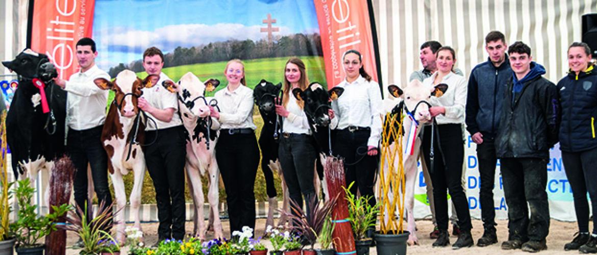 Le concours génisses a réuni 47 animaux.