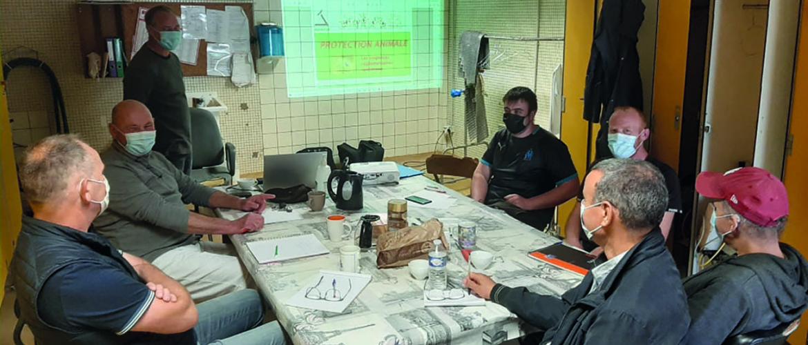 Une formation pour rappeler les exigences réglementaires concernant la protection animale en abattoir d’animaux de boucherie. Une formation pour rappeler les exigences réglementaires concernant la protection animale en abattoir d’animaux de boucherie.