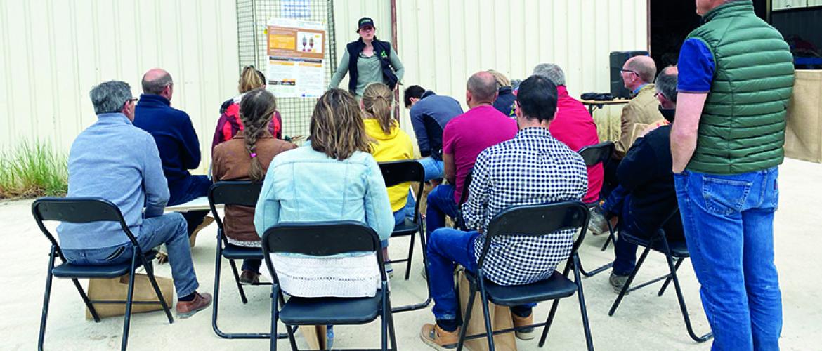 Les agriculteurs partagent leurs expériences et co-construisent avec les techniciens des systèmes de culture multiperformants.