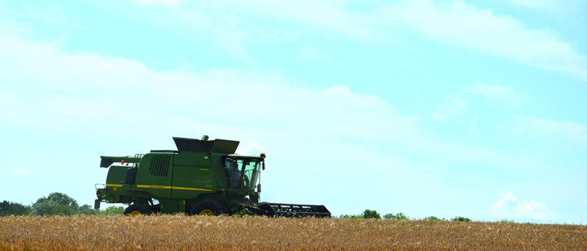 Les qualités et les rendements semblent au rendez-vous pour cette moisson 2022, avec toutefois des écarts. Les qualités et les rendements semblent au rendez-vous pour cette moisson 2022, avec toutefois des écarts.