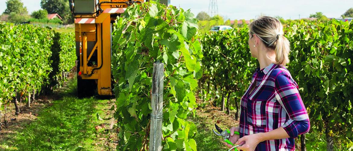 Dans la pratique, l’agriculteur peut se faire remplacer le jour de la réunion ou dans les trois mois qui la suivent.