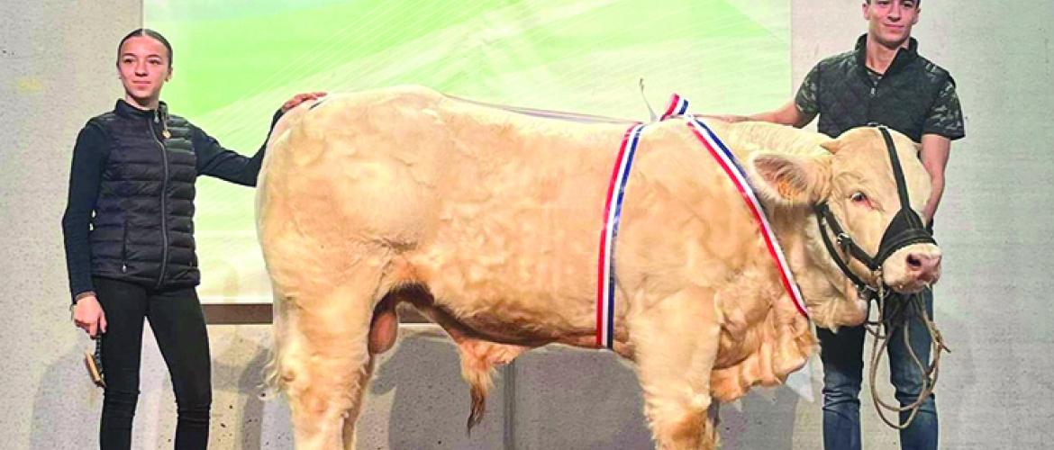 Après un premier prix de section, TEVOILA (Eric Langillier) est deuxième en prix d'honneur veaux mâles grandes raceurs. Après un premier prix de section, TEVOILA (Eric Langillier) est deuxième en prix d'honneur veaux mâles grandes raceurs.
